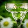 Daisy Chain Rhinestoned Glass