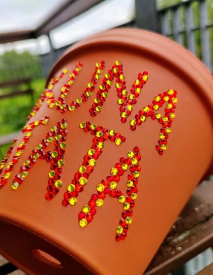 Hakuna Matata Rhinestone Plant Pot