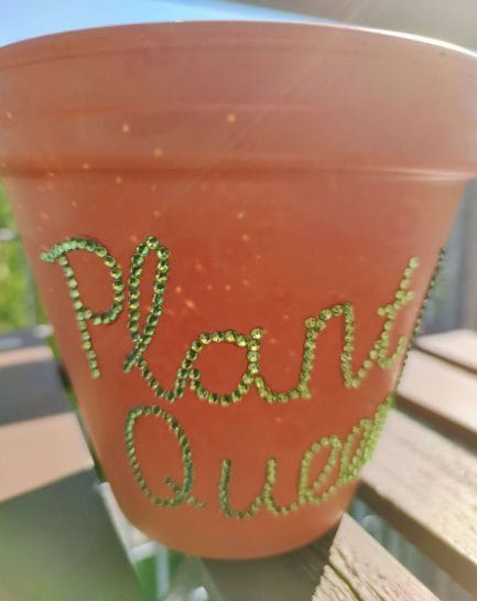 Plant Queen Sparkle Rhinestone Plant Pot
