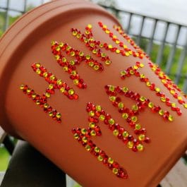 Hakuna Matata Plant Pot